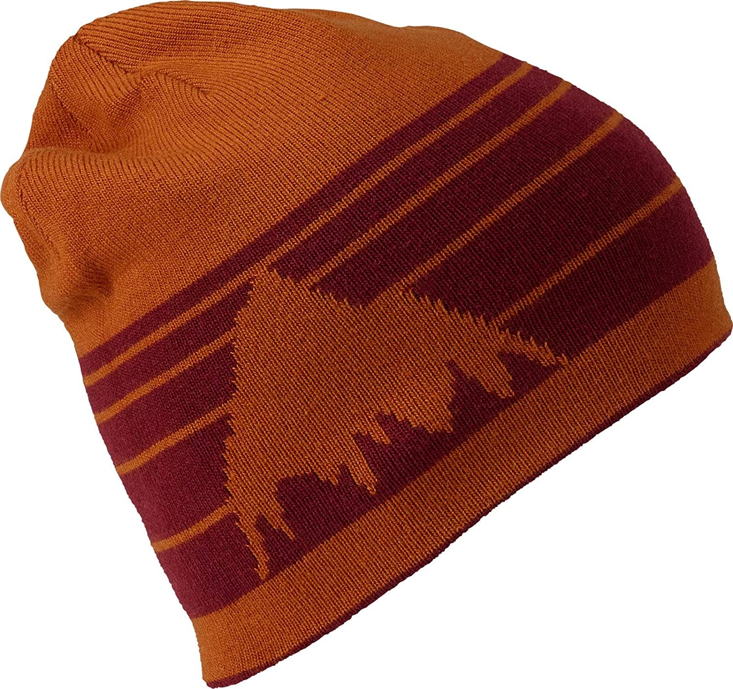 burton billboard beanie