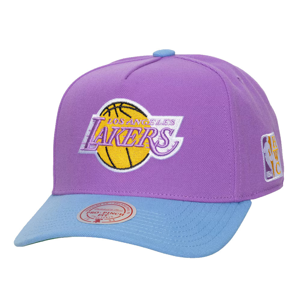 MITCHELL & NESS : Los Angeles Lakers Purple/Light Blue