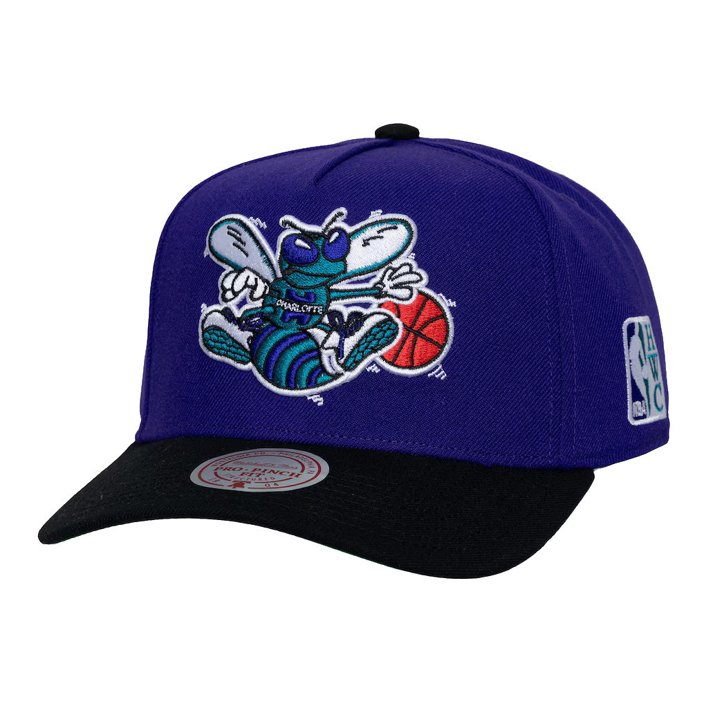 MITCHELL & NESS : Charlotte Hornets Purple/Black