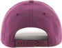 '47 BRAND : Cold Zone MVP Ducks Brim