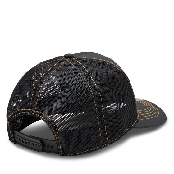 '47 BRAND : Mlb Detroit Tigers Xray