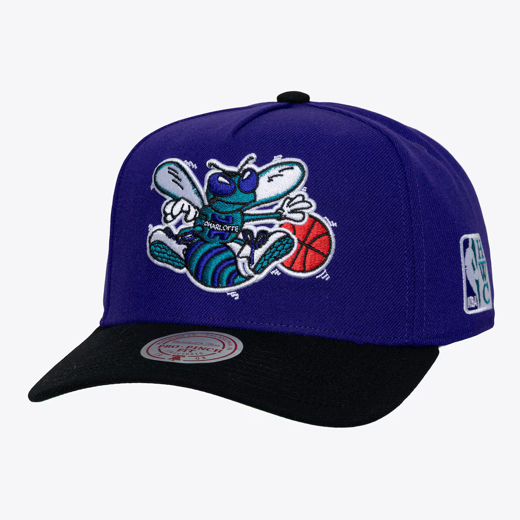MITCHELL & NESS : Charlotte Hornets Purple/Black