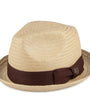 Brixton: Castor Fedora