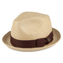 Brixton: Castor Fedora