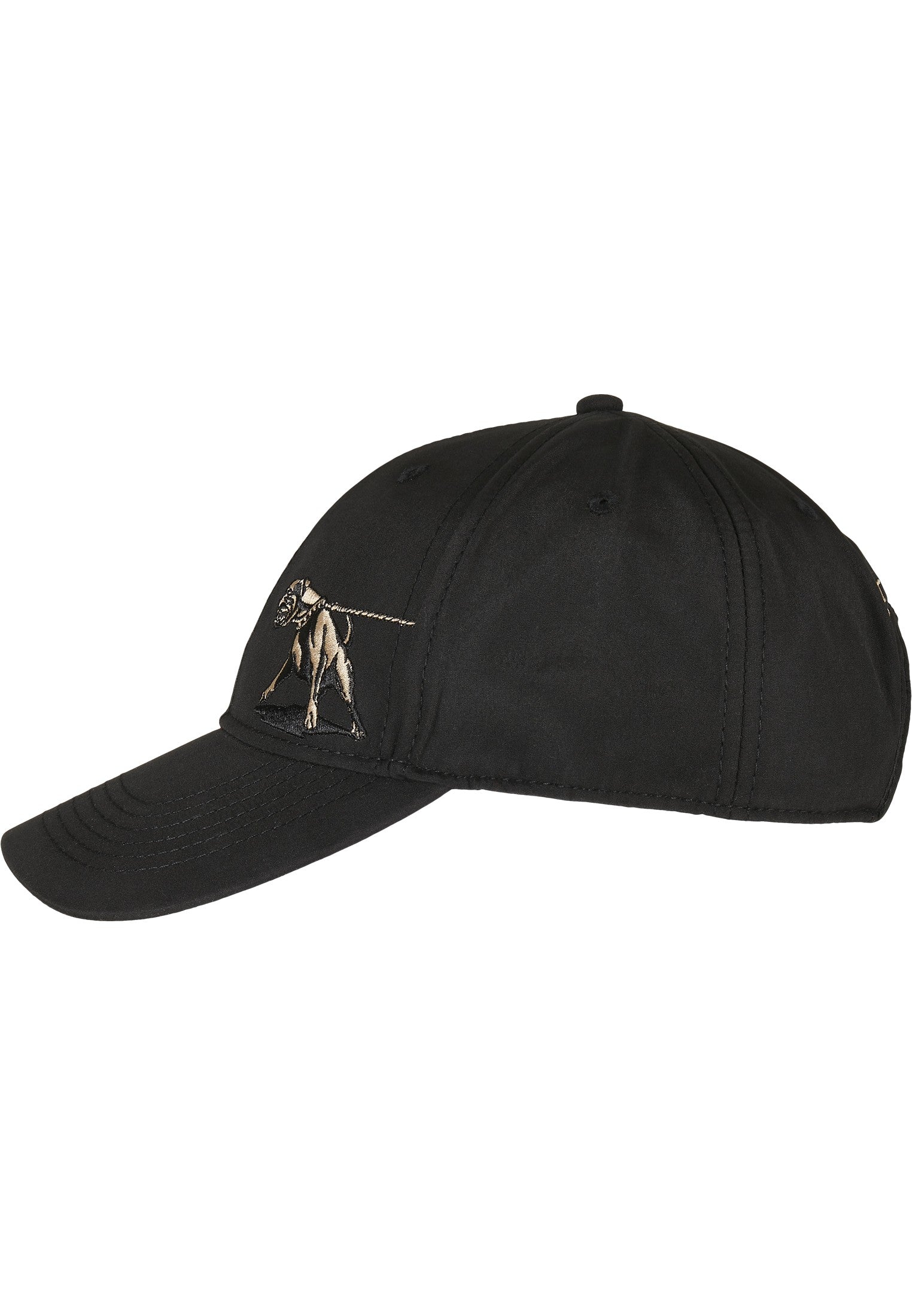 CAYLER & SONS : Don't Hold Me Curved Cap