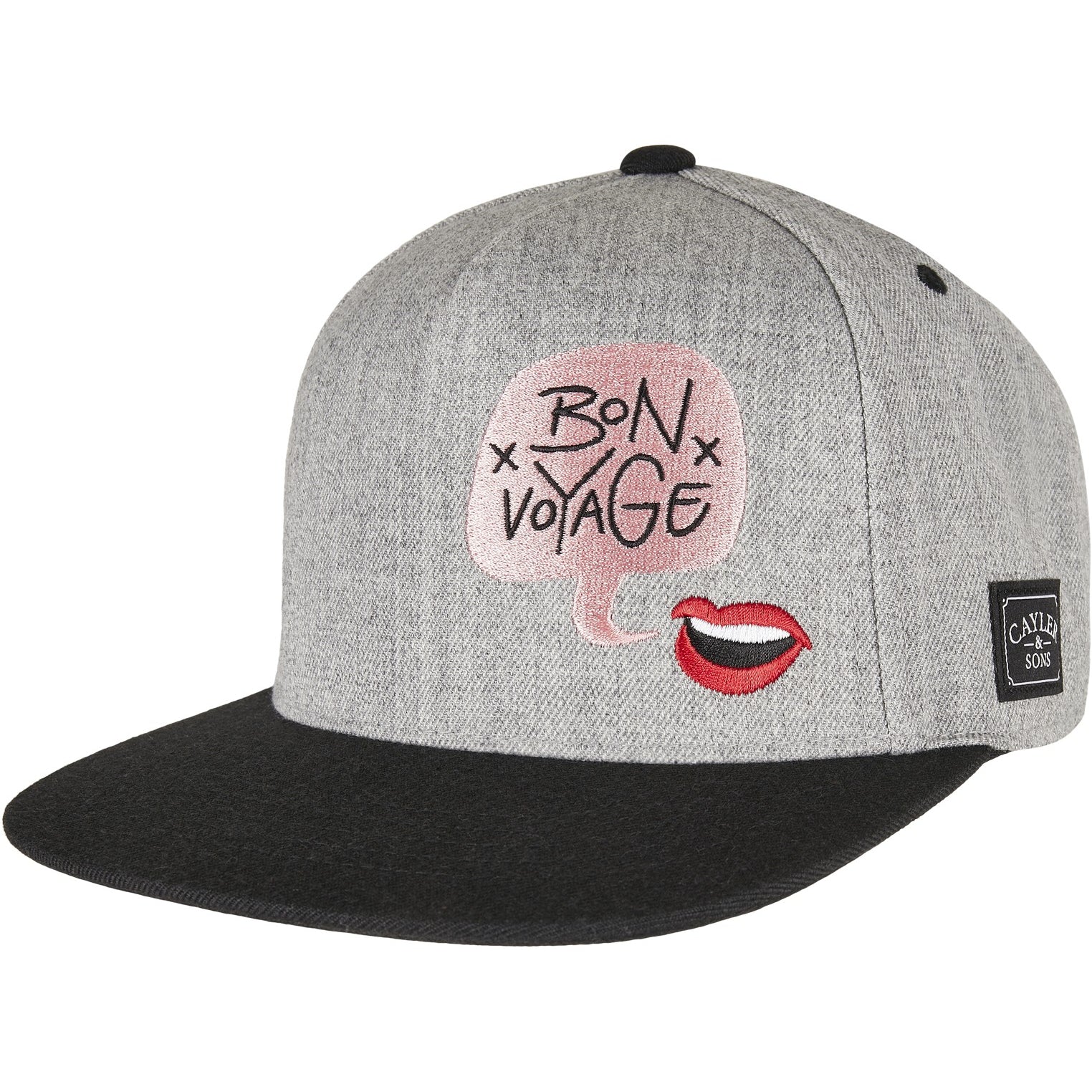 CAYLER & SONS : WL Bouble Voyage Cap