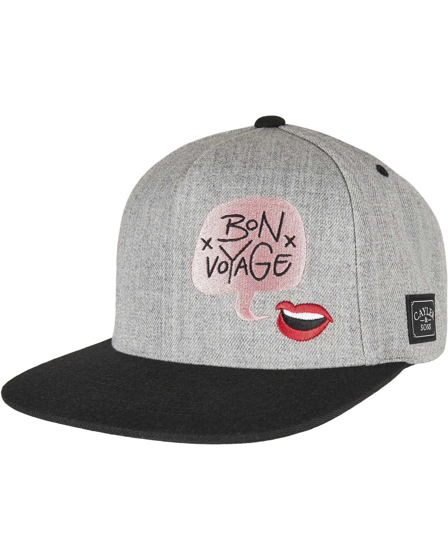 CAYLER & SONS : WL Bouble Voyage Cap