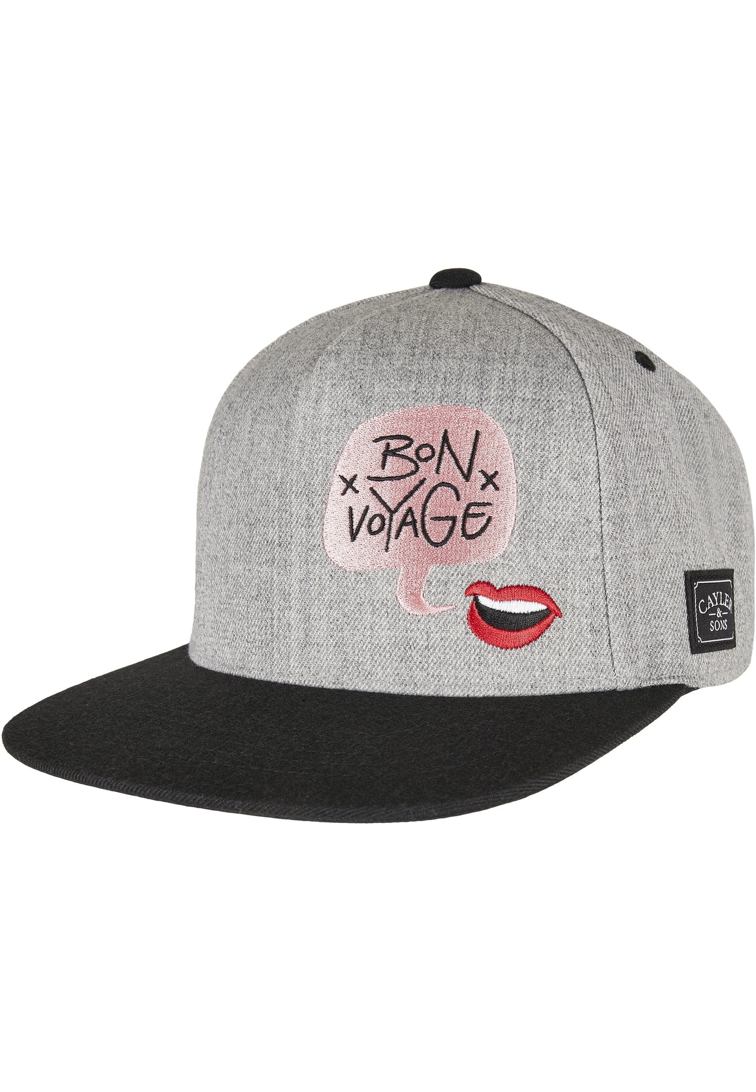 CAYLER & SONS : WL Bouble Voyage Cap