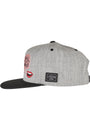 CAYLER & SONS : WL Bouble Voyage Cap