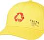 CAYLER & SONS :  Iconic Peace Curved