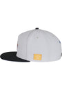 CAYLER & SONS : WL NY Snapback