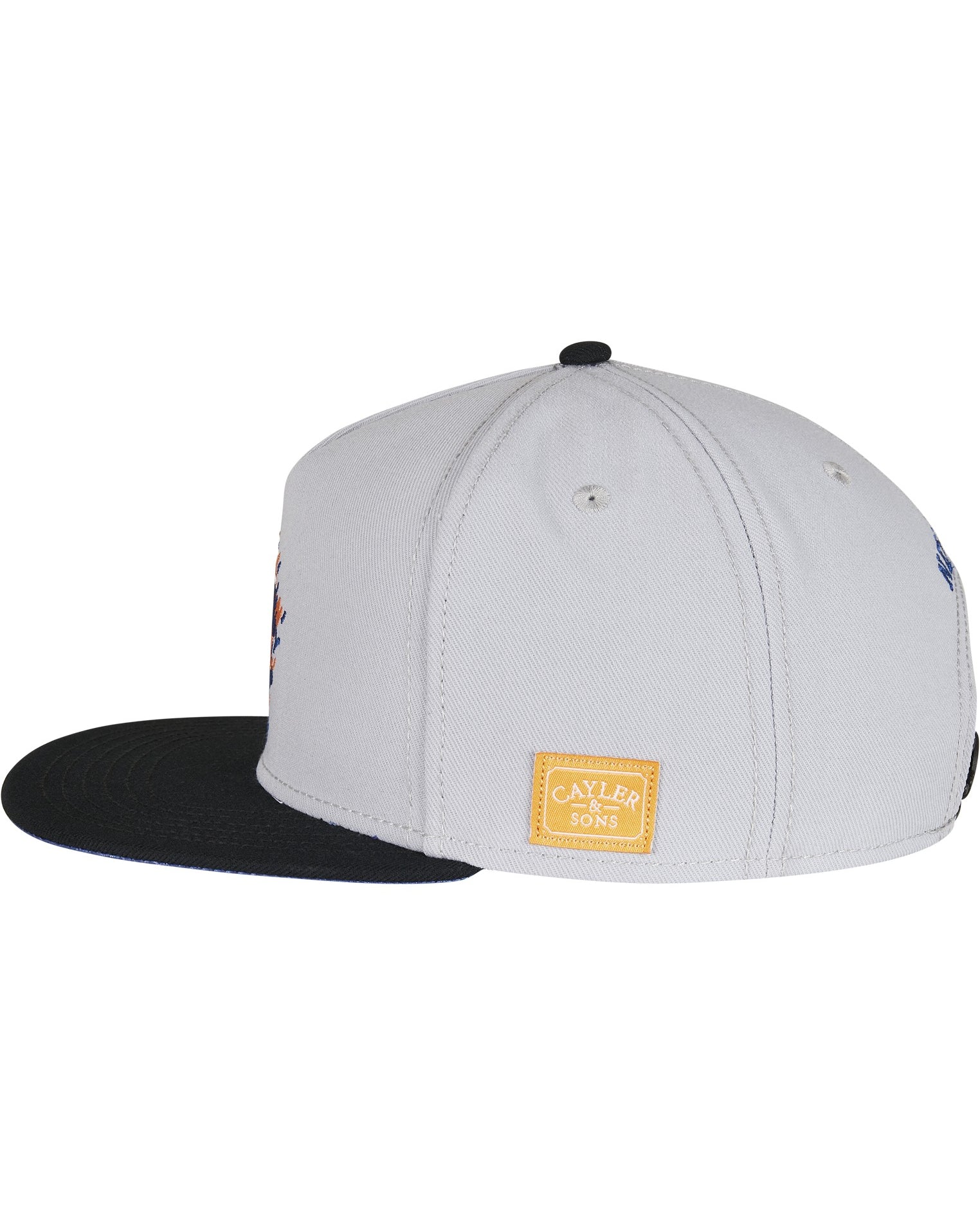 CAYLER & SONS : WL NY Snapback