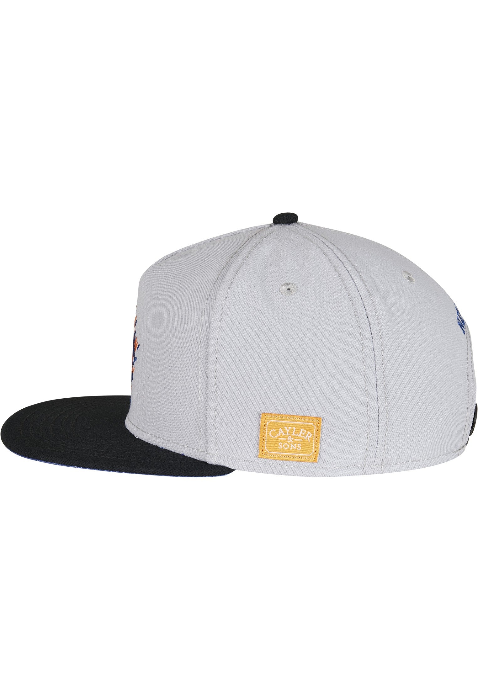 CAYLER & SONS : WL NY Snapback
