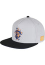 CAYLER & SONS : WL NY Snapback