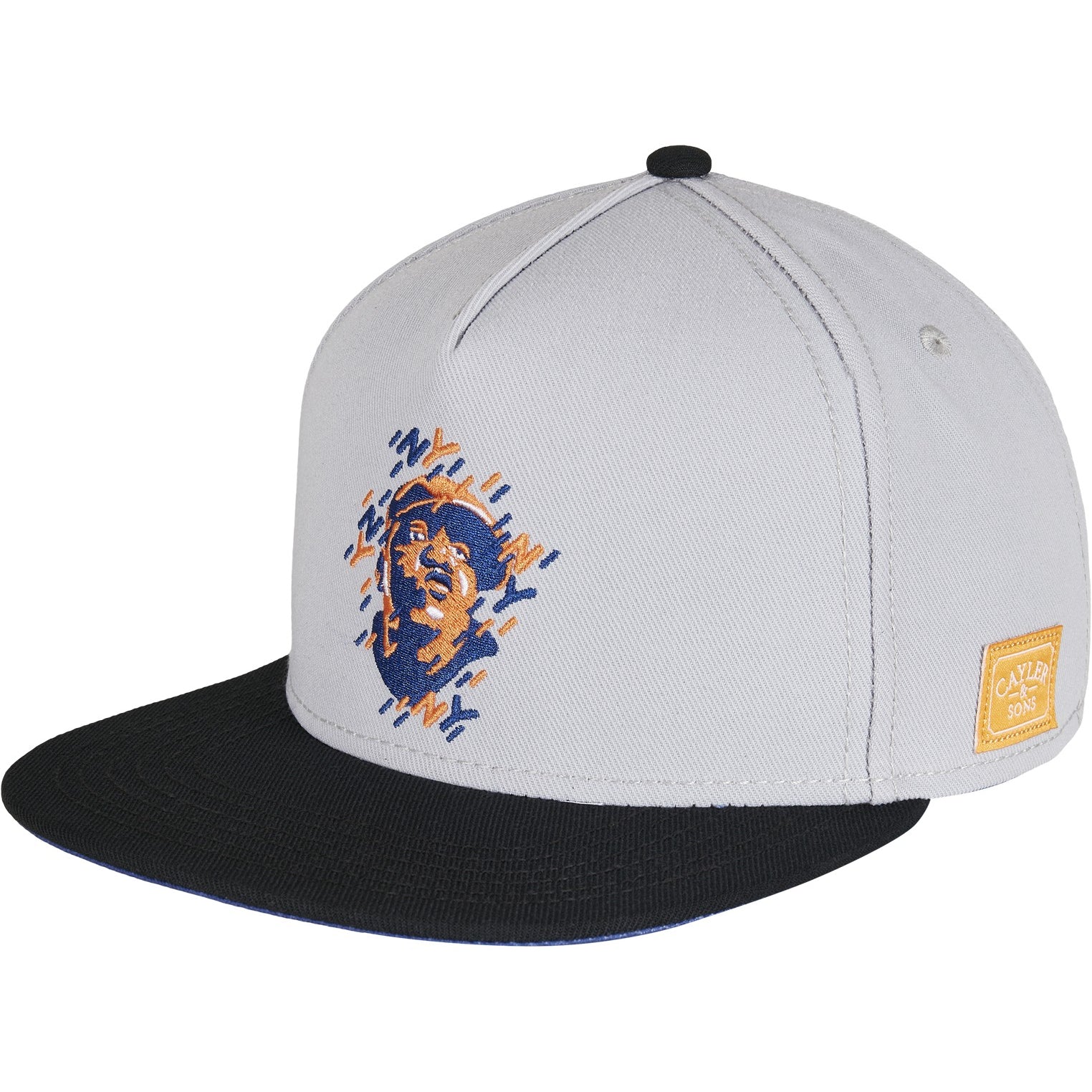 CAYLER & SONS : WL NY Snapback