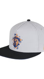 CAYLER & SONS : WL NY Snapback