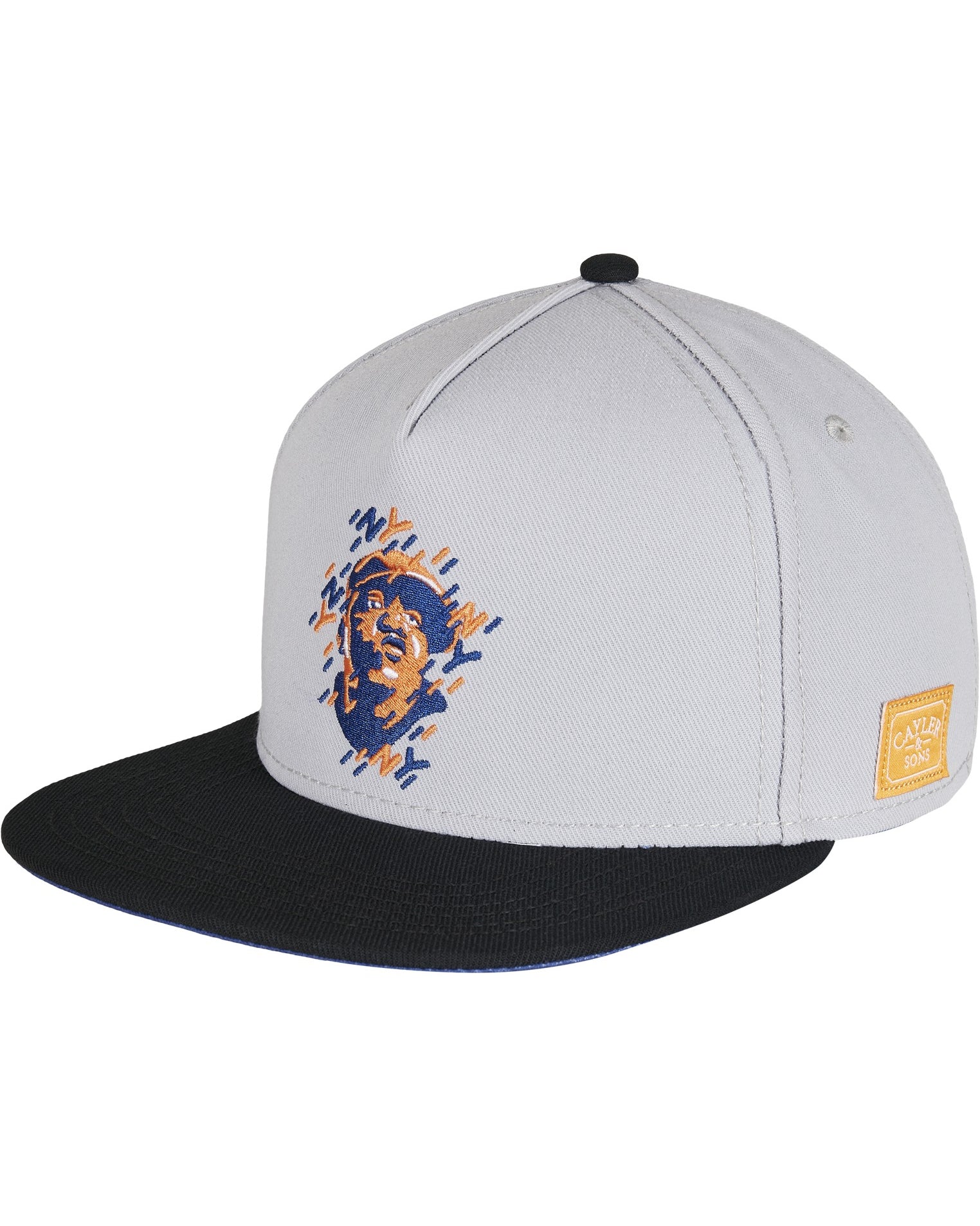 CAYLER & SONS : WL NY Snapback