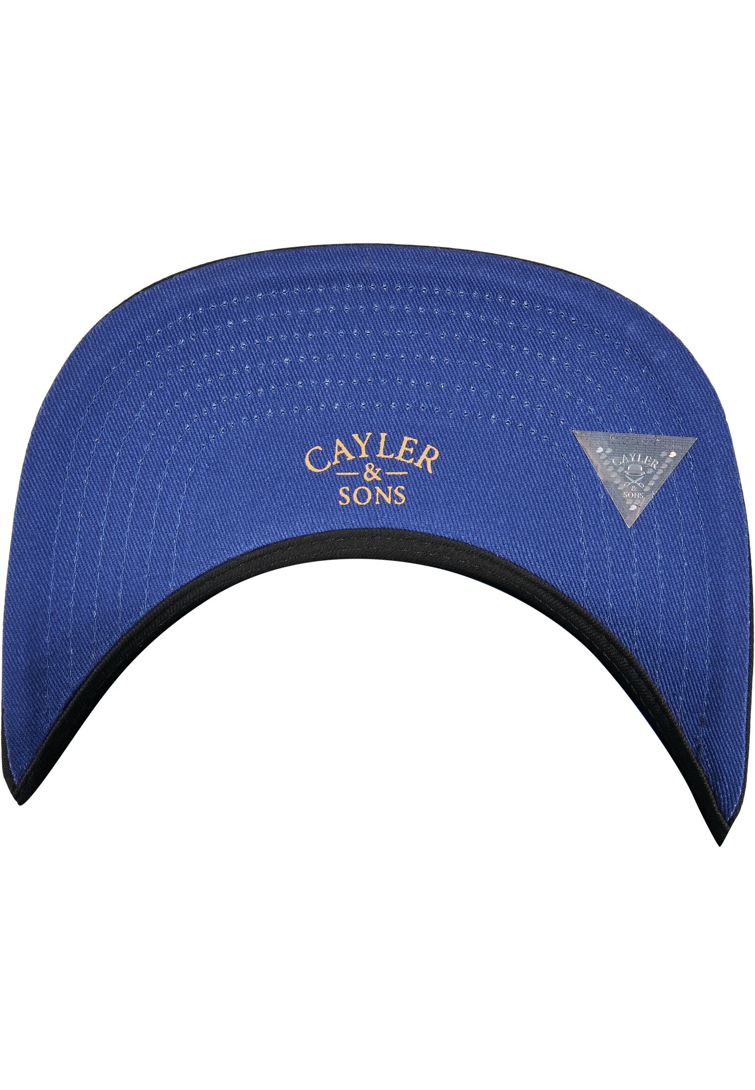 CAYLER & SONS : WL NY Snapback