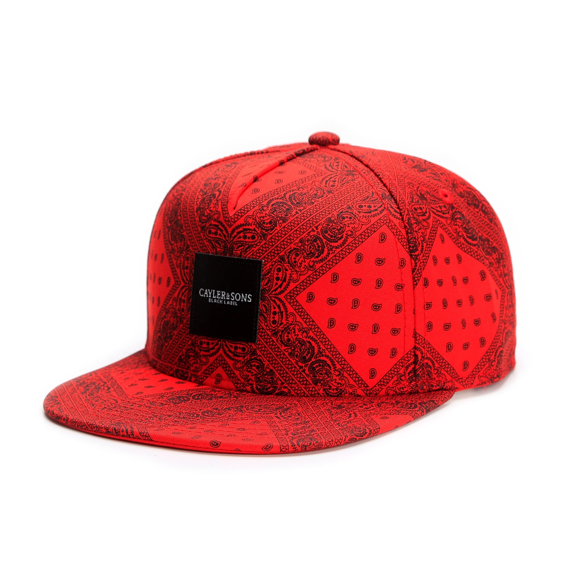 Cayler & Sons : BL PAIZ CAP