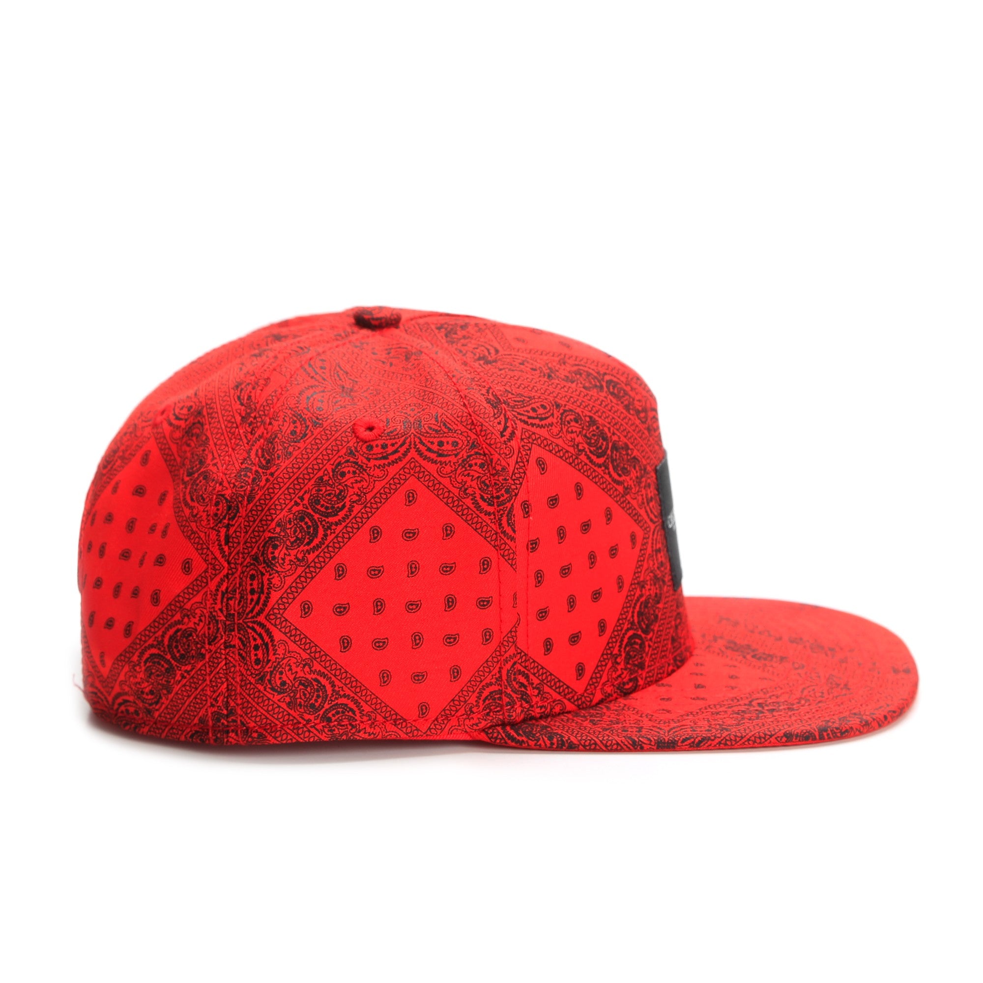 Cayler & Sons : BL PAIZ CAP