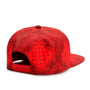 Cayler & Sons : BL PAIZ CAP
