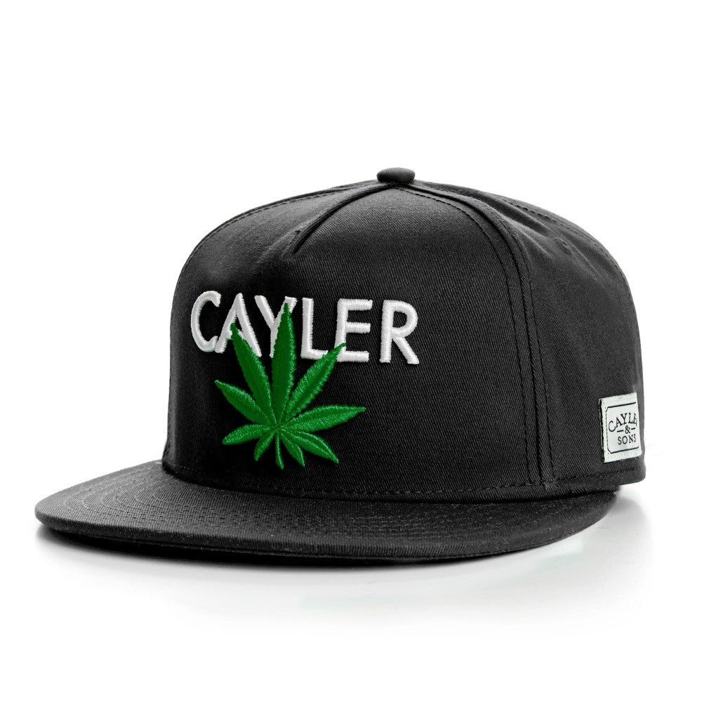 Cayler & Sons : CAYLER CAP