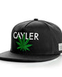 Cayler & Sons : CAYLER CAP