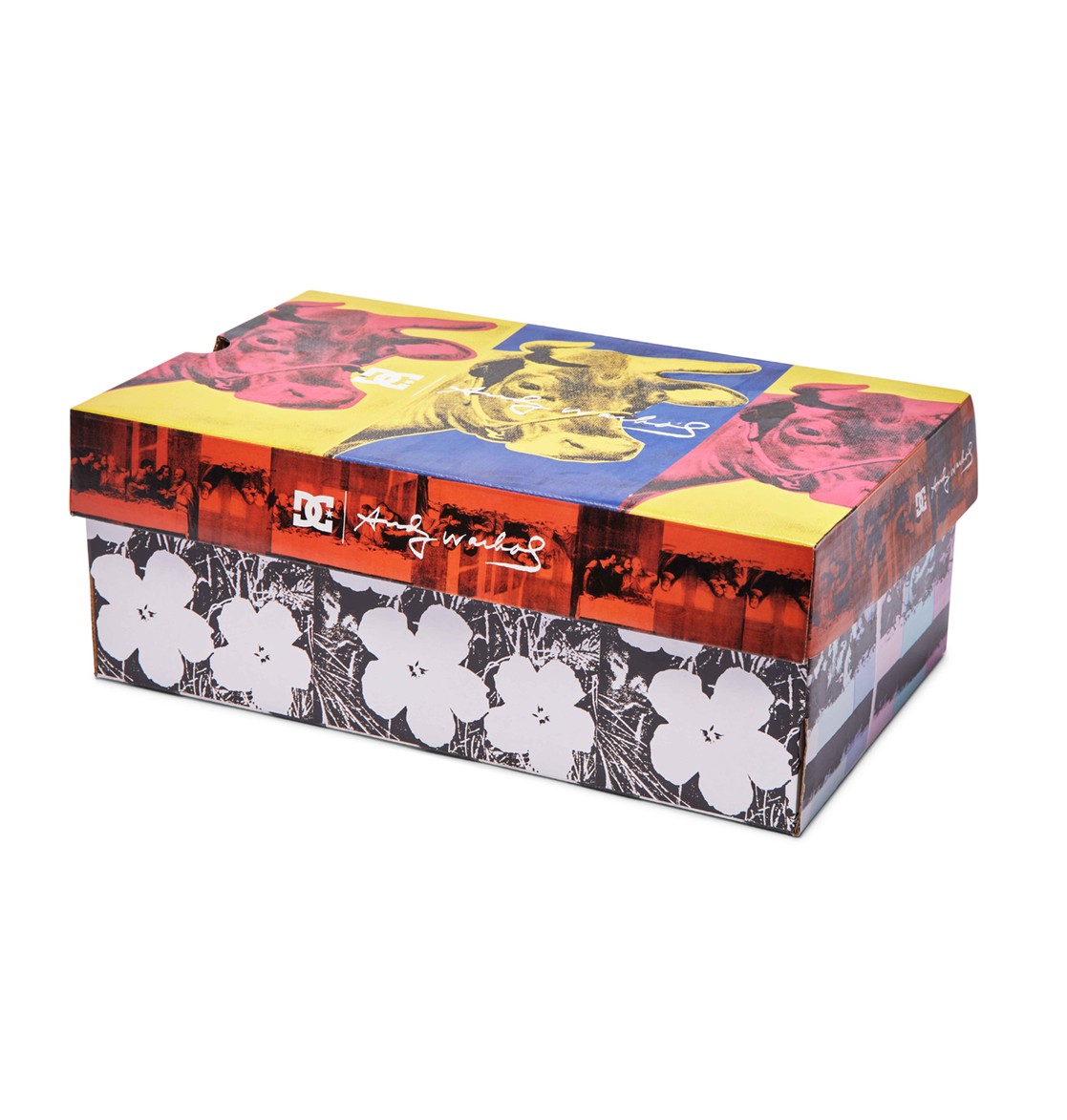 DC SHOES :  Andy Warhol Manual Hi