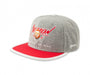 DJINNIS : 6 PANEL SNAPBACK CAP ACTION GREY