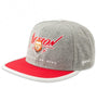 DJINNIS : 6 PANEL SNAPBACK CAP ACTION GREY