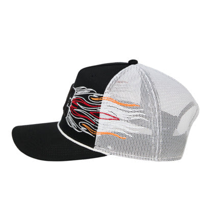 Dc Shoes : DC Theo Trucker
