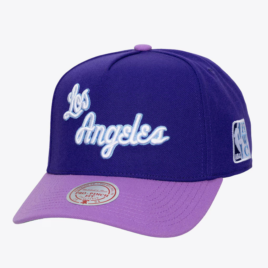 MITCHELL & NESS : Los Angeles Lakers Purple/Lavender