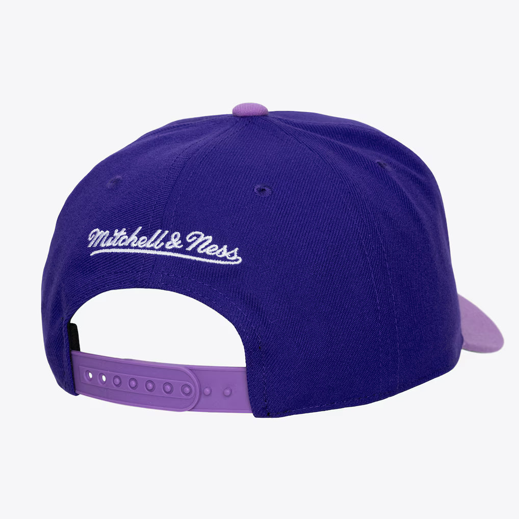 MITCHELL & NESS : Los Angeles Lakers Purple/Lavender