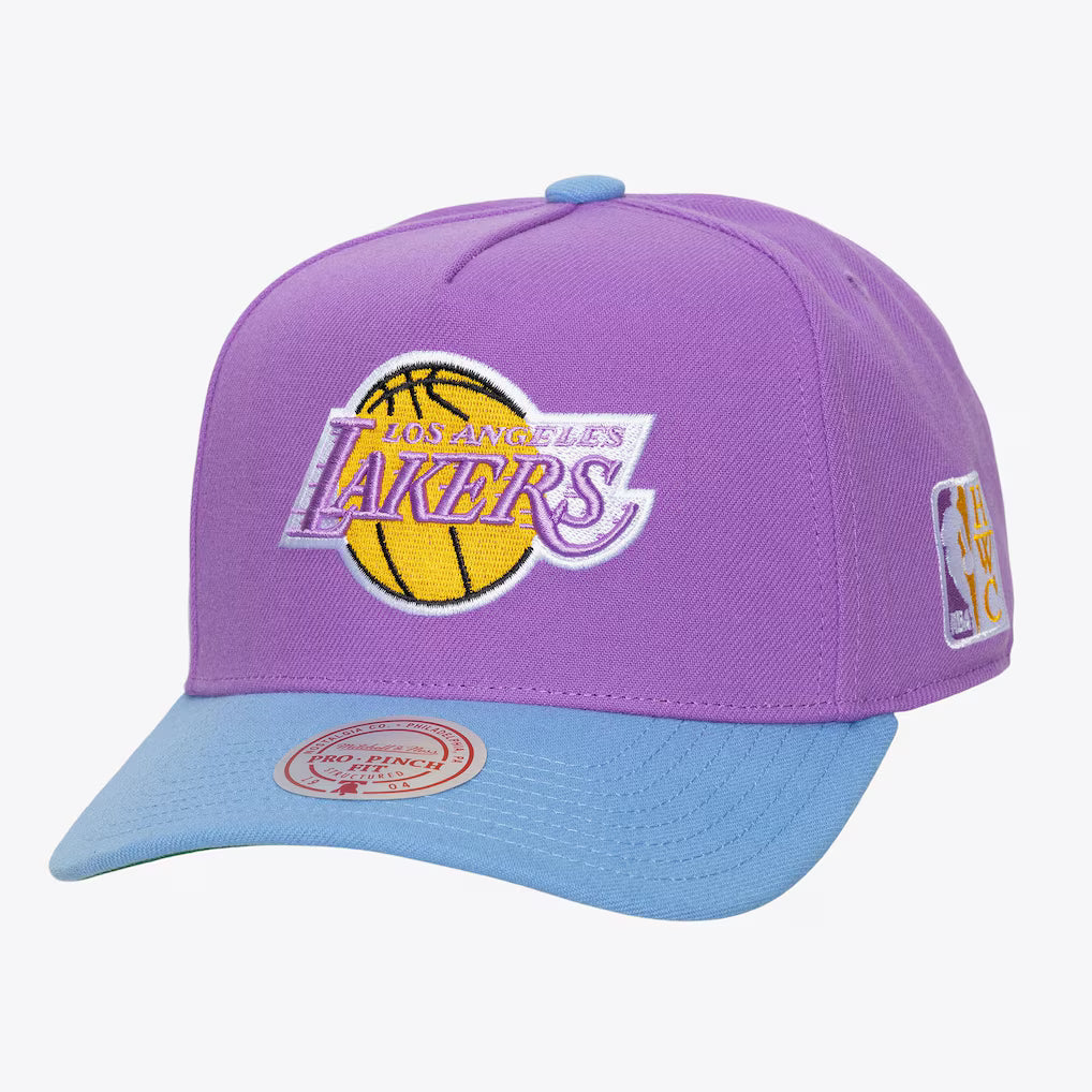MITCHELL & NESS : Los Angeles Lakers Purple/Light Blue