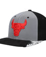 Mitchell & Ness :  Chicago Bulls Day 5 Snapback Hat