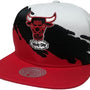 Mitchell & Ness : Chicago Bulls Paintbrush