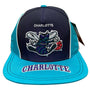 Mitchell & Ness : NBA Charlotte Hornets Freethrow HWC
