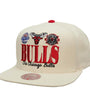 Mitchell & Ness : Reframe Retro Snapback HWC Chicago Bulls
