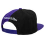 Mitchell & Ness : Retroline Snapback HWC Toronto Raptors