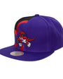 Mitchell & Ness : Retroline Snapback HWC Toronto Raptors