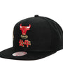 Mitchell & Ness : Water Tiger Snapback HWC Chicago Bulls