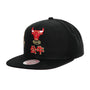 Mitchell & Ness : Water Tiger Snapback HWC Chicago Bulls