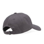 Santa Cruz : Classic Dot Label Cap