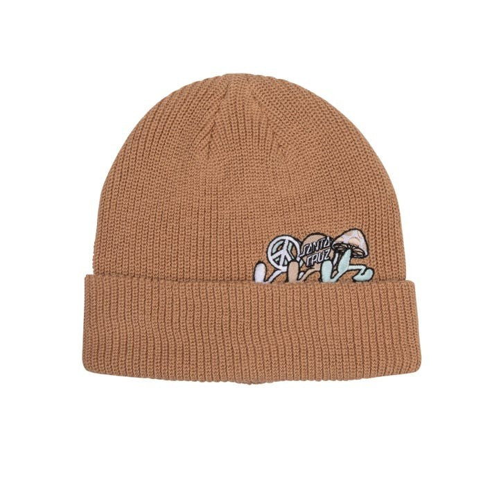 SANTA CRUZ : Journey Beanie