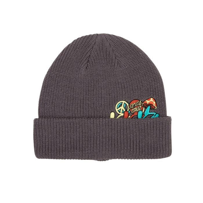 SANTA CRUZ : Journey Beanie