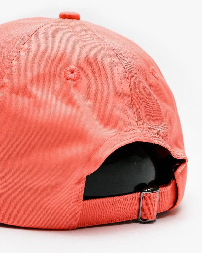 Santa Cruz : Moon Dot Mono Cap Salmon